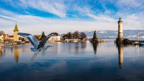 Blick auf den Bodensee und eine Küstenregion