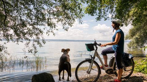 Frau auf einem Fahrrad mit Hund an einem See