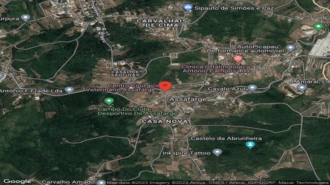 Campsite Coimbra Campsite und Bungalows